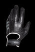 Olympia Men's 101EX Sportster II - Olympia Gloves